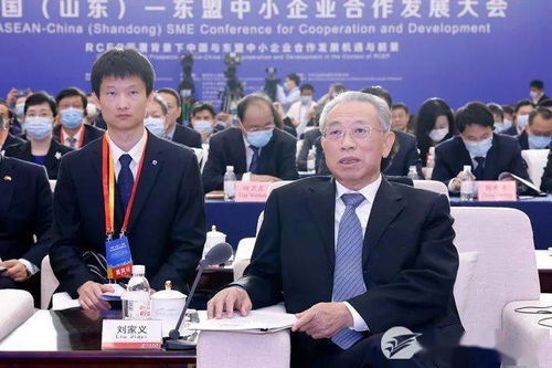 中國山東-東盟中小企業合作發展大會在濟開幕，推動軟件應用深化經貿合作